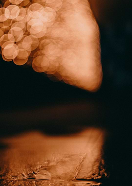 small pond reflecting