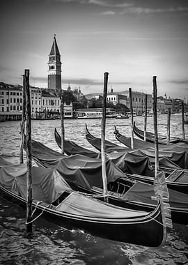 VENICE St Marks Campanile
