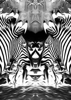 zebra in black and white