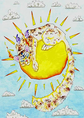 cats like to sleep in the