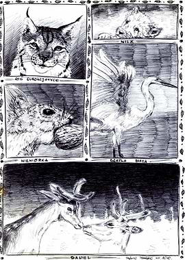 Wild Animals of Poland