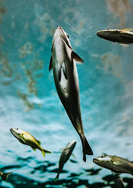 Focused and Determined