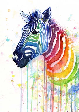 Rainbow Zebra