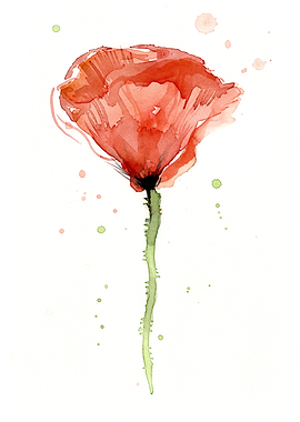 Poppy Flower Painting