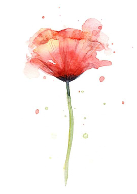 Abstract Poppy Flower