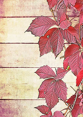 colorful autumn leaf