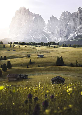 Alpe di Siusi
