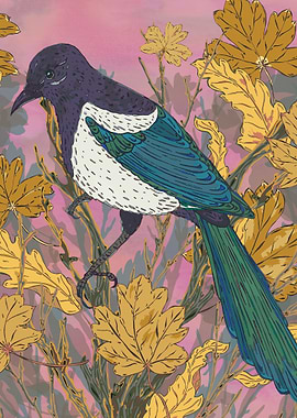 Magpie and Maple