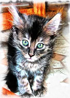 Cuteness Personified