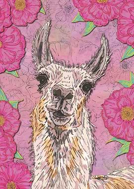 Perfectly Pink Llama