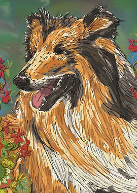 Rough Collie Geraniums