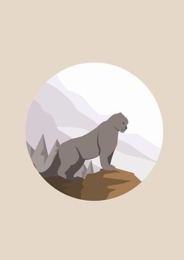 Bear Illustration