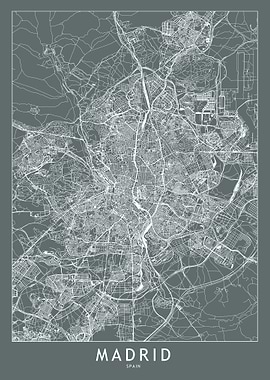 Madrid Grey Map