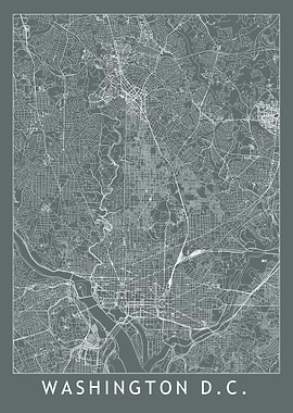 Washington Grey Map