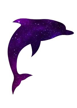 Space Dolphin