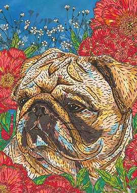 Pug in Peonies