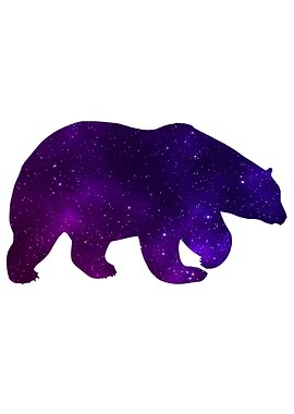 Space Bear