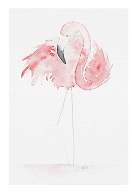 Pink Flamingo