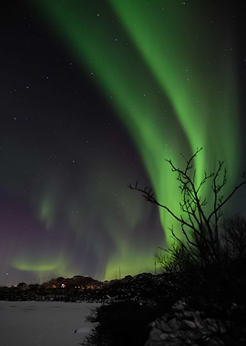 Aurora Lights 102