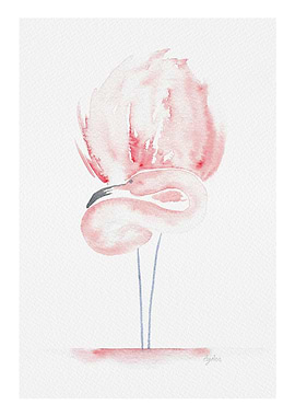 Pink Flamingo