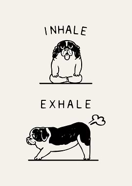 Inhale Exhale St Bernard
