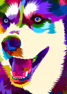 close up of face husky