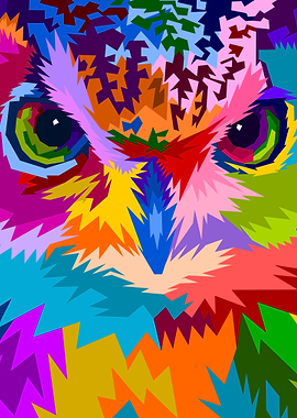 close up of face owl