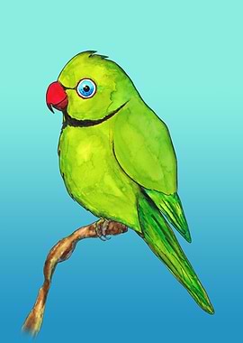 Cute Indian ring neck