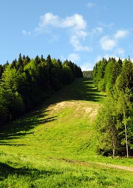 Somewhere in the Mountains