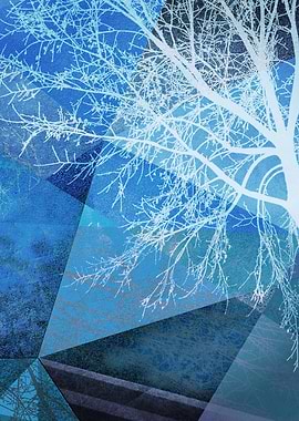 P19F TREES AND TRIANGLES