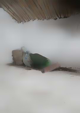 Unstaged Details 2019