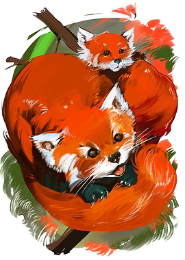 Red Panda