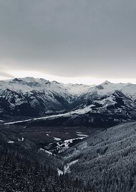 Beautiful Snowy Landscape