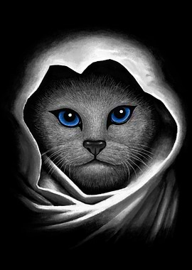 Blue eyes cat