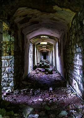 Doomed Corridor