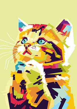 Colourful Cat