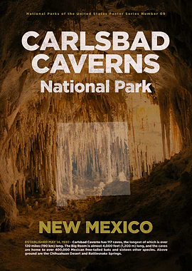 Carlsbad Caverns Natl Park