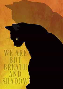Breath and Shadow Cat
