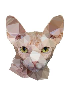 Poly Sphinx Cat