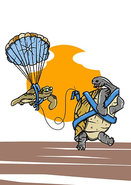Turtle and tortoise
