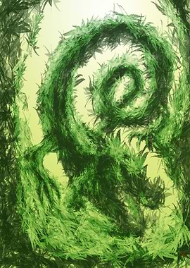 Japanese Maple Dragon