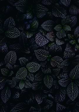 Black Material Texture