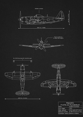 P47D Thunderbolt Blueprint