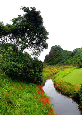 Karekare falls Auckland NZ