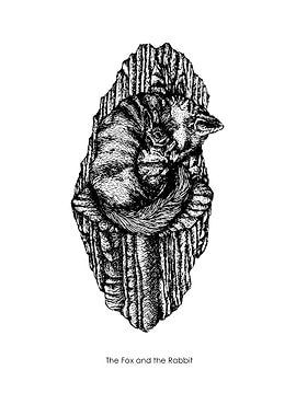 The Fox and the Rabbit