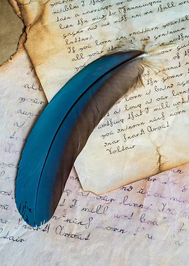 Blue feather