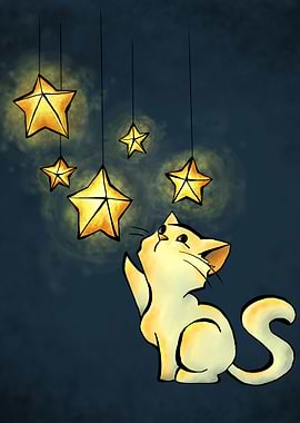 Cat and Stars