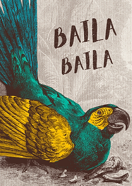 DANCE IN THE CARIBBEAN