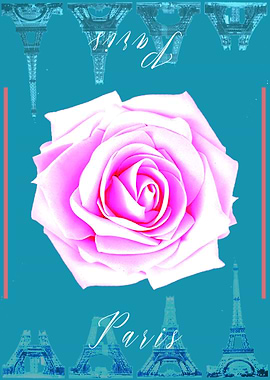 Paris Rose