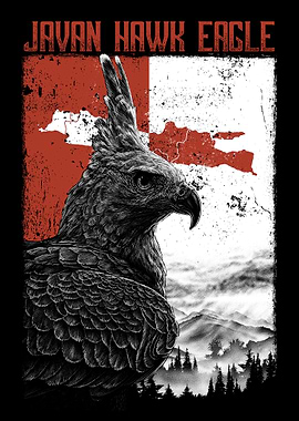 Javan Hawk Eagle
